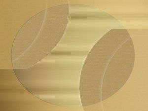 培训体系